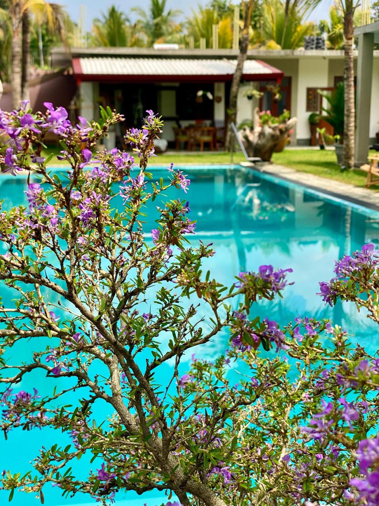 Sri Palms Bed and Breakfast Kosgoda Εξωτερικό φωτογραφία